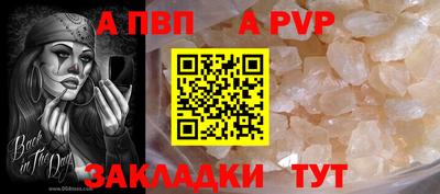 крисы Камышлов