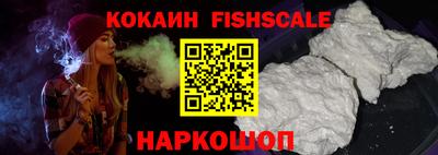крисы Камышлов