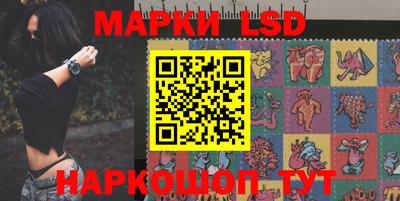 крисы Камышлов