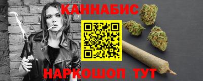 крисы Камышлов