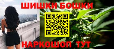 крисы Камышлов