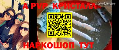 крисы Камышлов