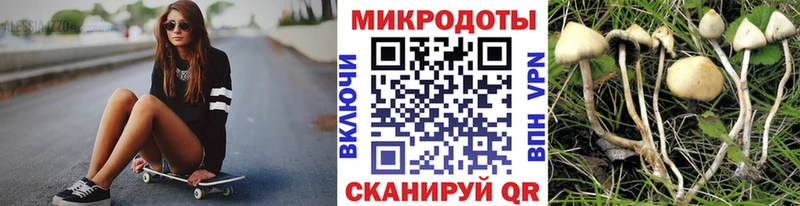 мега сайт  Ярославль  Галлюциногенные грибы прущие грибы 