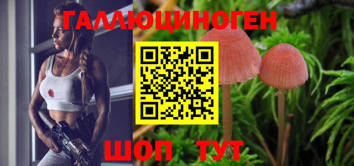 Галлюциногенные грибы прущие грибы  Псилоцибиновые грибы Magic Shrooms  Ярославль  Вход с VPN 